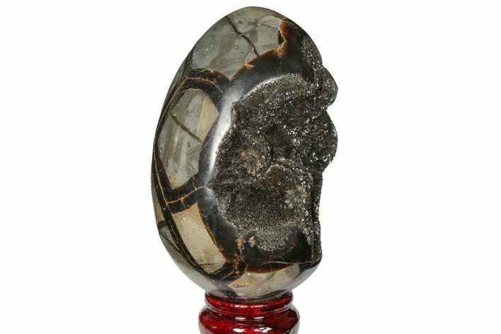 Septarian Dragon Egg Geode - Black Crystals #120901